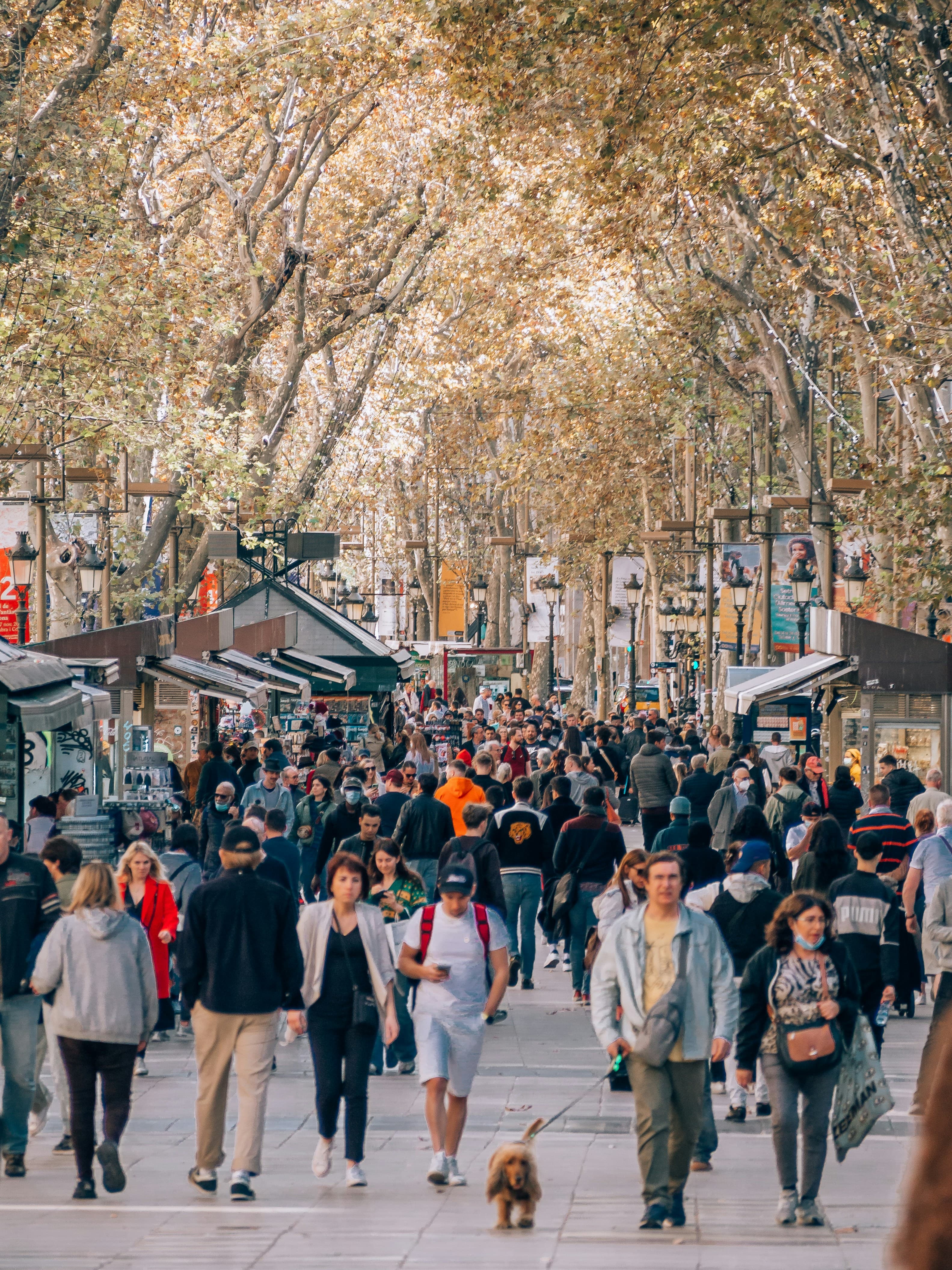 La Rambla & Gothic Quarter