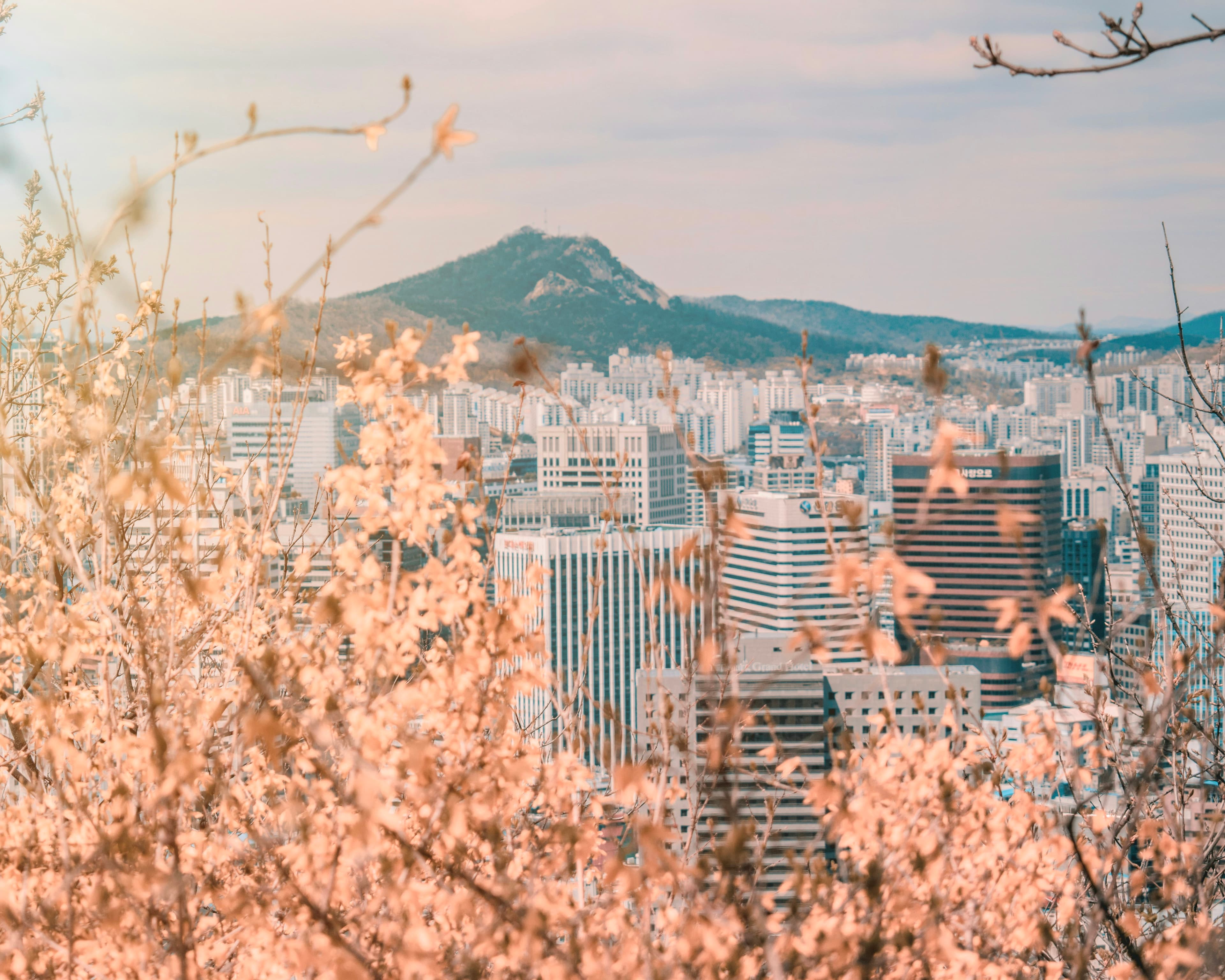 Korea